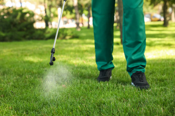 Pest Prevention Services in Verona, KY